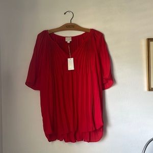 Red Blouse